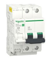 SCHNEIDER ELECTRIC R9L20625 - LIMITADOR IGA DE SOBRETENSIONES TRANSITORIAS Y PERMANENTES,